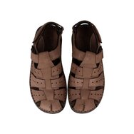 DOLOMITE FANGO - 2537