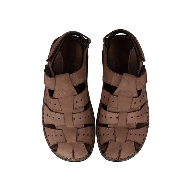 DOLOMITE FANGO - 2537