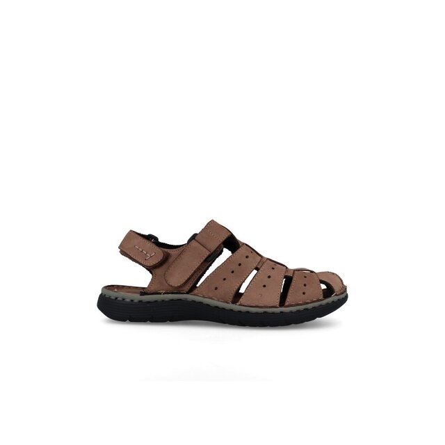 DOLOMITE FANGO - 2538