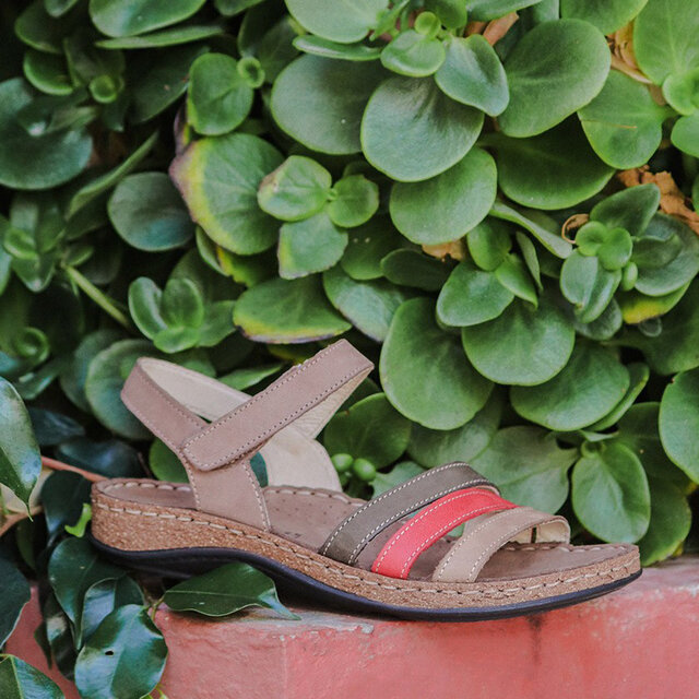 RAINBOW ESPRESSO_BORDO_SANGUE_MATTONE - 2576