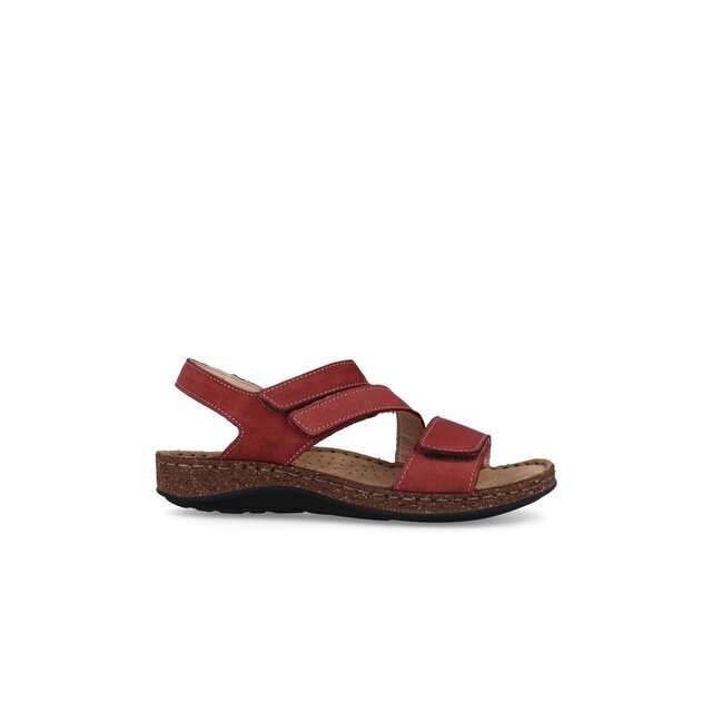 Toulon BORDO - 2569
