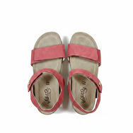 FRISIA PORPORA - 03_vista_top